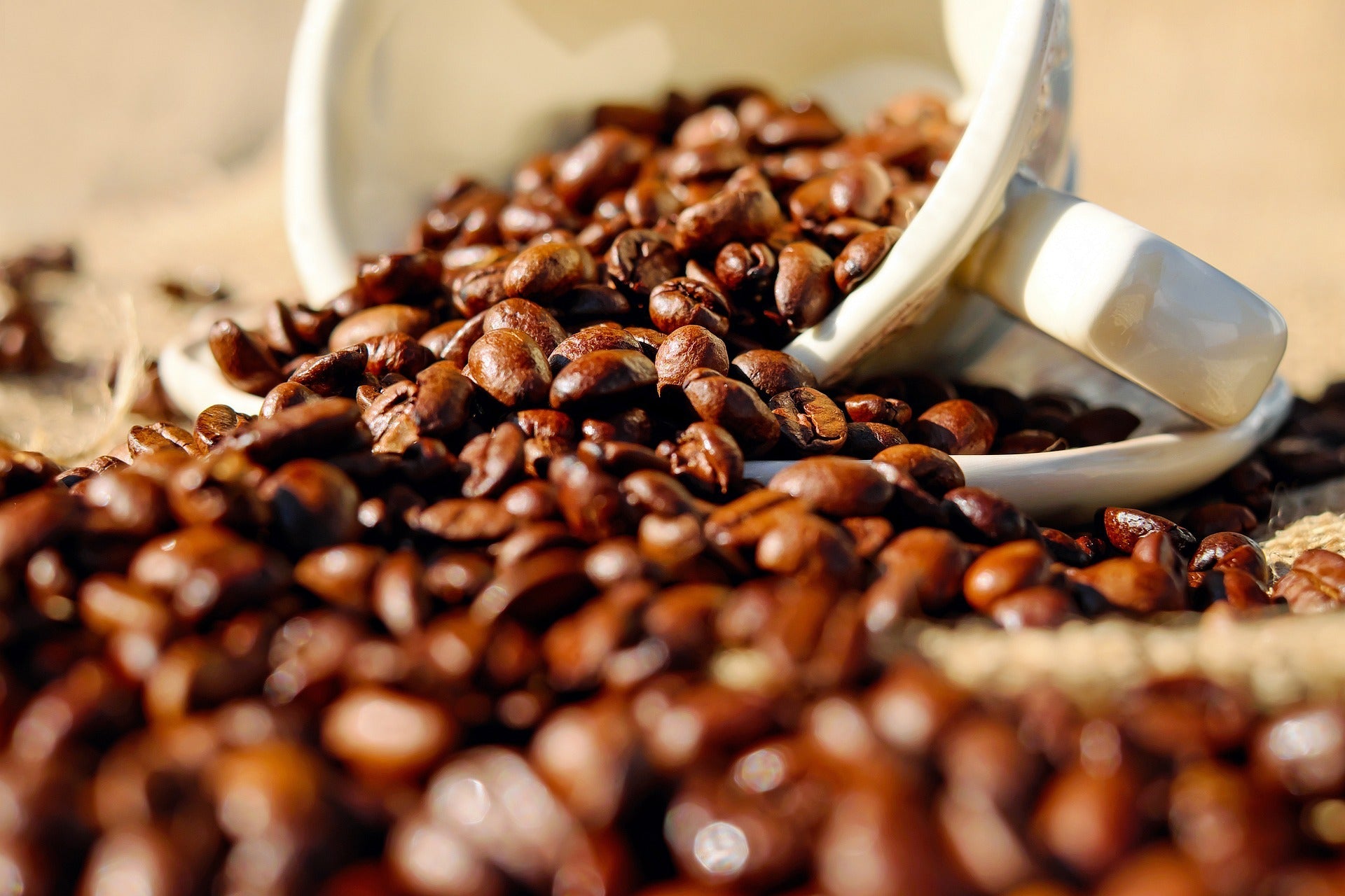 Serenity Blend - Gourmet Organic Light & Dark Roast Coffee